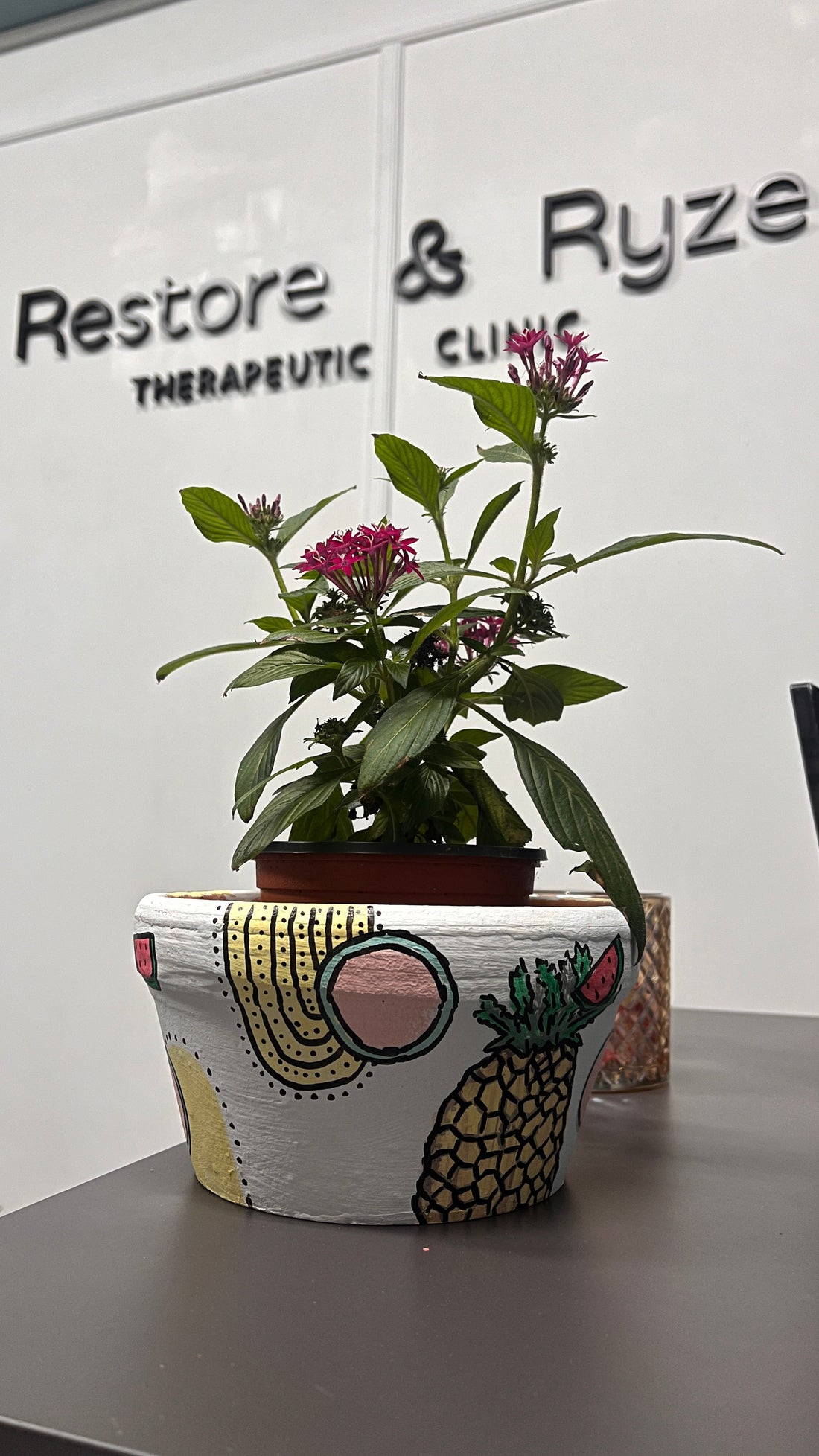 Paint & Plant Soirée