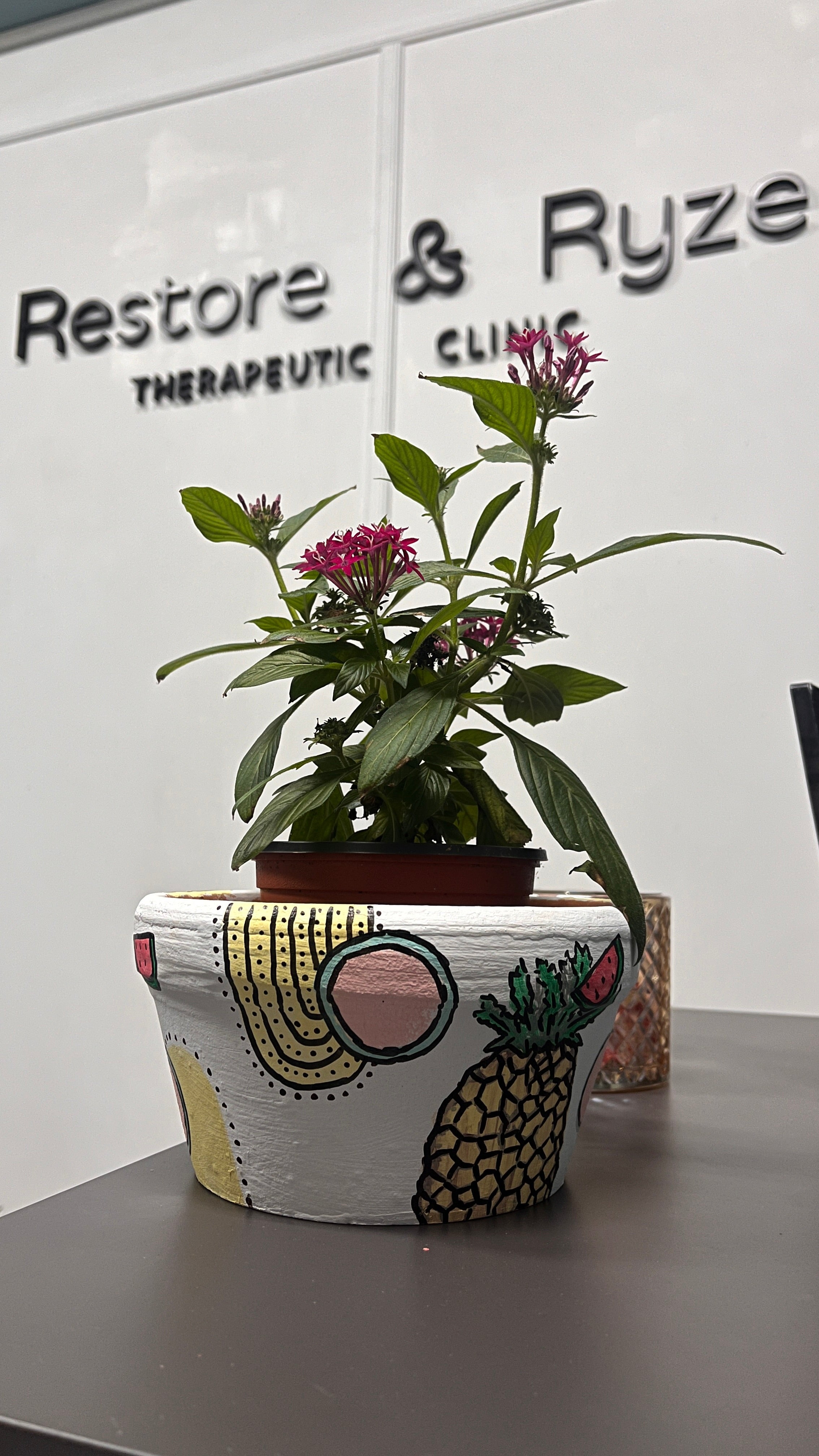 Paint & Plant Soirée