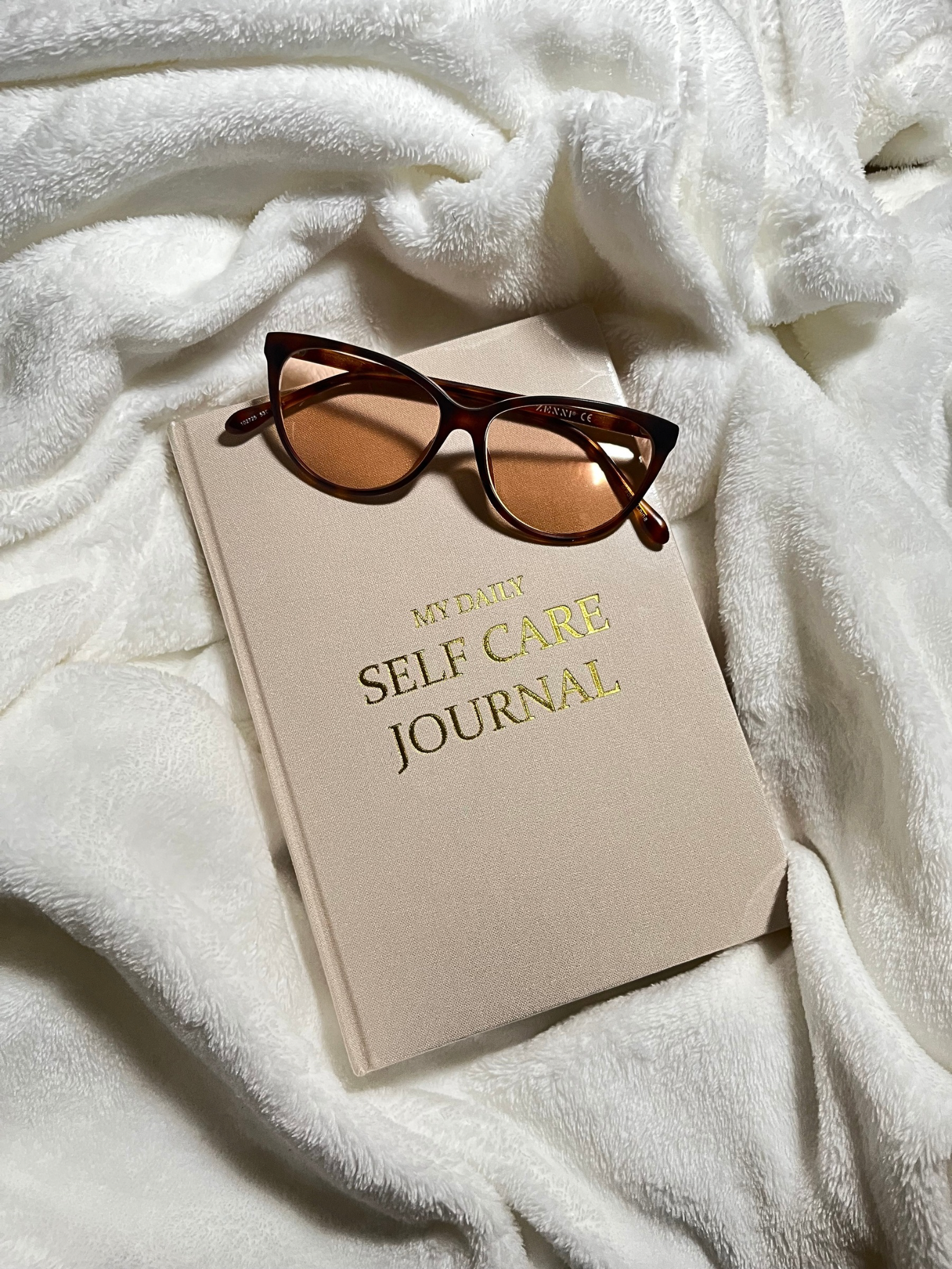 Daily Self Care Journal - Restore & Ryze Therapeutic Clinic